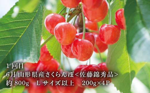 《2026年6月発送開始》山形県至高のフルーツ定期便3回！山形県特出フルーツ定期便 全3回 F4A-0458