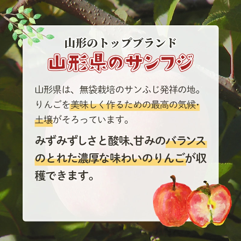 《先行予約》 【訳あり】山形県産サンふじりんご 約10kg 《2025年12月上旬頃より順次発送予定》バラ入り りんご リンゴ 林檎 デザート フルーツ 果物 くだもの 果実 食品 山形県 中山町 F4A-0462