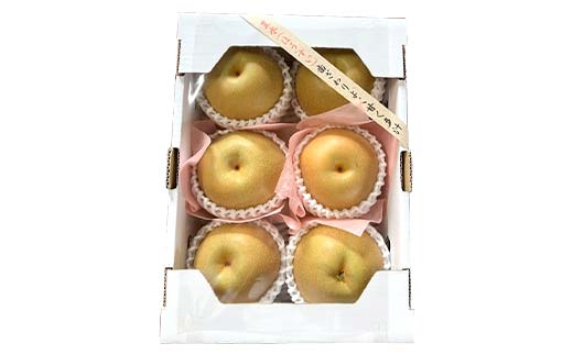 《2026年先行予約》山形県産 和梨 6玉 ※品種おまかせ 秀品 約1.8kg～2kg 梨 洋梨 フルーツ 果物 くだもの 山形県 中山町 F4A-0465