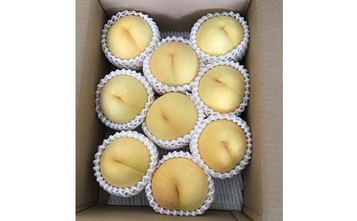 《2026年先行予約》山形県産 黄桃 品種おまかせ 特秀品 柔らかくなる桃 約2kg（黄金桃、スイート光黄、黄ららの極み、黄貴妃 他） F4A-0468