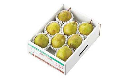 2026年産 先行受付 中山町産 高糖度 ラ・フランス 約2kg 特秀品 5～8玉 果物 フルーツ 山形県 中山町 F4A-0472