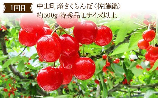 2026年6月発送開始 先行受付 山形県 至高のフルーツ！ 山形県中山町 秀逸フルーツ定期便 全3回 さくらんぼ 桃 ラ・フランス 山形県 中山町 F4A-0475