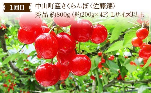 2026年6月発送開始 先行受付 山形県 至高のフルーツ！ 山形県中山町 甘～いフルーツ定期便 全4回 さくらんぼ 桃 シャインマスカット ラ・フランス 山形県 中山町 F4A-0476