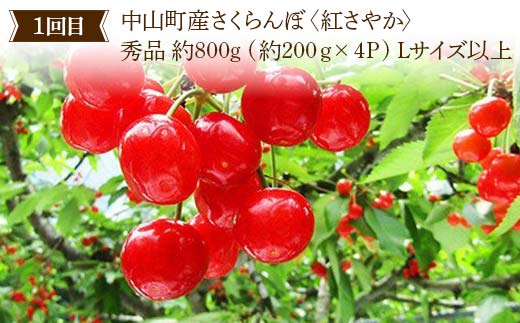 2026年8月発送開始 先行受付 山形県 至高のフルーツ！ 山形県中山町厳選フルーツ定期便B 全4回 さくらんぼ 桃 シャインマスカット ラ・フランス 山形県 中山町 F4A-0480