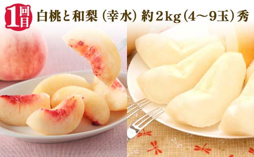 【2025年 先行予約】3回定期便 6つの美味しさ満喫フルーツ便 桃 和梨 シャインマスカット ピオーネ ラ・フランス りんご 果物 くだもの 山形県 中山町 F4A-0483