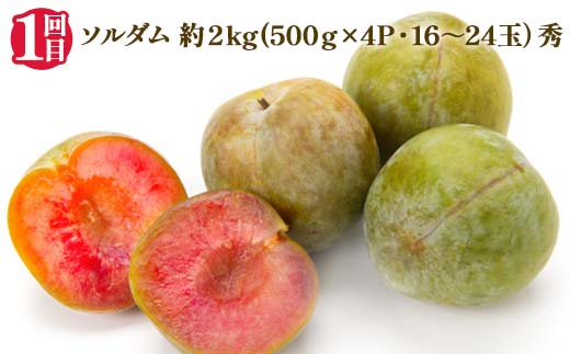【2025年 先行予約】3回定期便 すもも らぶ便 果物 くだもの 山形県 中山町 F4A-0484