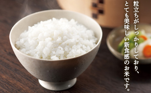 【令和7年度産】 山形県産　雪若丸無洗米 5kg×2袋計10kg ≪2025年10月より順次発送≫ ブランド米 こめ ご飯 ごはん 白米 エコ 節水 F4A-0503