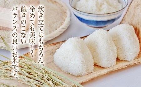 【定期便】【令和7年度産】 山形県産　はえぬき精米 5kg×2袋計10kg×3回 ≪2025年10月より順次発送≫ ブランド米 こめ ご飯 ごはん 白米 毎月届くF4A-0504