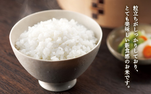 【定期便】【令和7年度産】 山形県産　雪若丸精米 5kg×2袋計10kg×3回 ≪2025年10月より順次発送≫ ブランド米 こめ ご飯 ごはん 白米 毎月届く F4A-0514