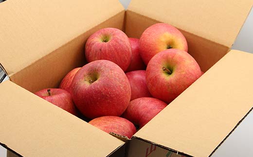 【家庭用】 山形県産サンふじりんご 約5kg 訳あり バラ入り 林檎 リンゴ 果物 くだもの フルーツ 山形県産 F4A-0911