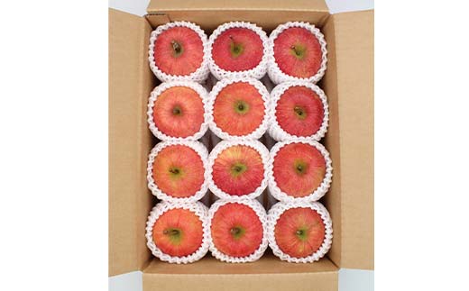 《2026年発送先行予約》山形県産サンふじりんご 秀 約3kg 林檎 リンゴ フルーツ 果物 くだもの 山形県 中山町 F4A-0913