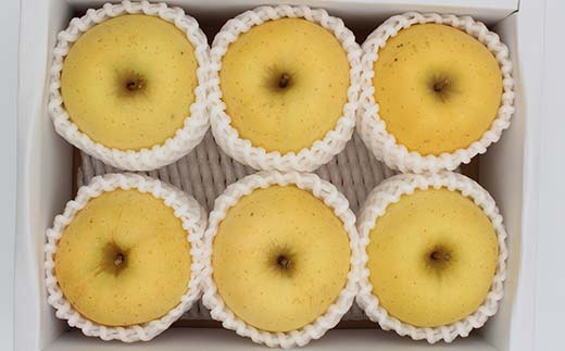 《2026年発送先行予約》山形県産りんご はるか 約2kg 5～9玉 黄色 林檎 リンゴ 果物 くだもの フルーツ 山形県産 F4A-0914