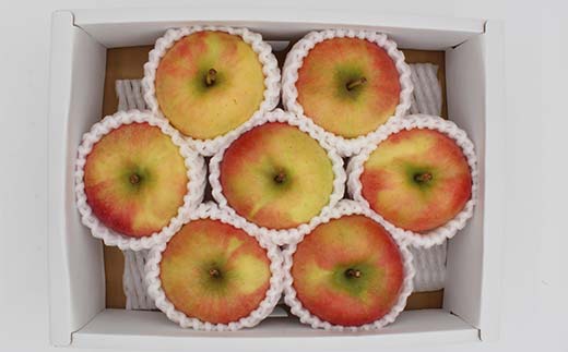 《2026年発送先行予約》山形県産りんご 葉とらずこうとく 約1.5kg 5～10玉 林檎 リンゴ 果物 くだもの フルーツ 山形県産 F4A-0915