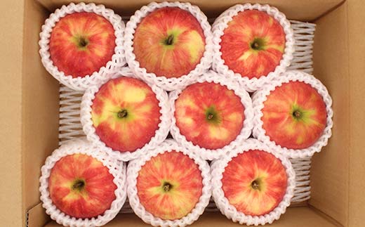 《2026年発送先行予約》山形県産りんご シナノスイート 約3kg 6～11玉 林檎 リンゴ 果物 くだもの フルーツ 山形県産 F4A-0916