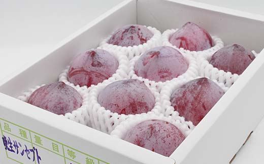 中山町産クイーンマーキュリー 約1.2kg 7～13玉程度 秀 桃 もも フルーツ すもも スモモ 山形県産 F4A-0917