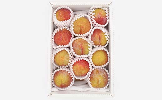 山形県産 秋姫約1.2kg 7～13玉 秀 桃 もも フルーツ すもも スモモ 山形県産 F4A-0918