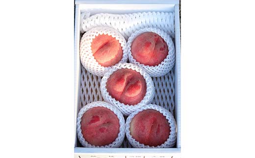 山形県産 完熟白桃おどろき 約1.5kg 秀 桃 もも フルーツ果物 くだもの 山形県 中山町 F4A-0920