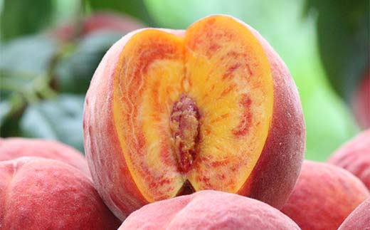 山形県産 希少黄桃ワッサー 約2kg 5～9玉 秀 桃 もも フルーツ 黄色 F4A-0922