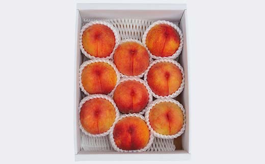 幻のゴールデンピーチ 山形県産 滝ノ沢ゴールド約1.8kg 5～9玉 秀 桃 もも フルーツ 黄色 F4A-0923