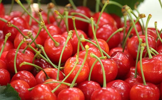 【先行受付】山形県産 さくらんぼ約180g×2P 品種おまかせ M以上 果物 くだもの フルーツ 夏果物 サクランボ F4A-0926