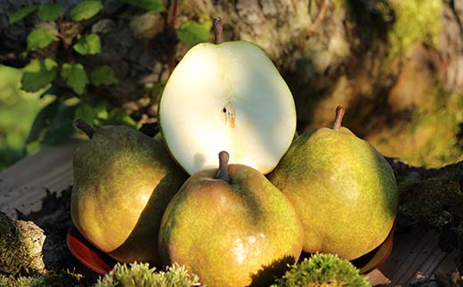 ラフランス約3kg 2～4L 8～11玉 らふらんす 果物 くだもの フルーツ 山形県産 F4A-0937