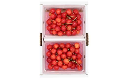 【先行受付】さくらんぼ佐藤錦 約700g（約350g×2P） L以上化粧箱 果物 くだもの フルーツ 夏果物 サクランボ F4A-0947