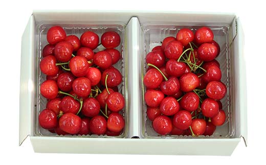 【先行受付】さくらんぼ紅秀峰 約700g 350×2 L～2L化粧箱 果物 くだもの フルーツ 夏果物 サクランボ F4A-0950