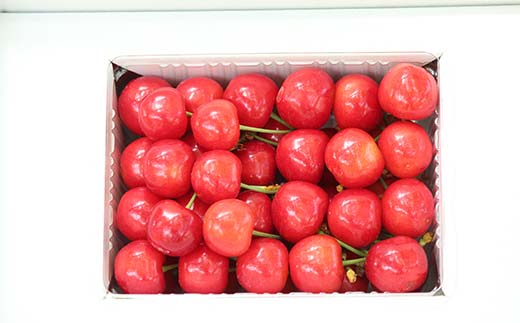 【先行受付】さくらんぼ紅秀峰 約500g L～2L 秀 化粧箱 果物 くだもの フルーツ 夏果物 サクランボ F4A-0951