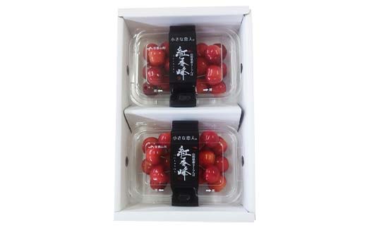 令和8年産【先行受付】山形県産さくらんぼ＜紅秀峰＞秀品 約400g(約200g×2P) Lサイズ以上 期間限定 数量限定 山形県産 サクランボ フルーツ 果物 くだもの 贈答 F4A-0961