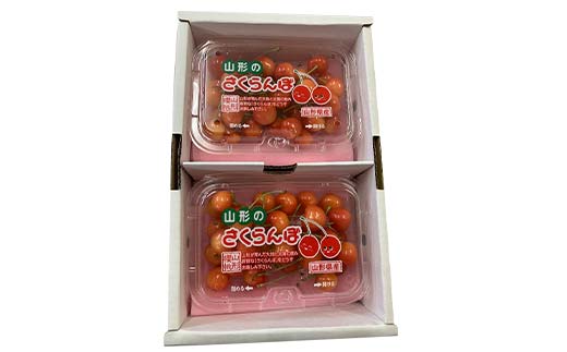 令和8年産【先行受付】山形県産さくらんぼ＜佐藤錦＞秀品 約400g(200g×2P) Lサイズ以上 期間限定 数量限定 山形県産 サクランボ フルーツ 果物 くだもの 贈答 F4A-0963