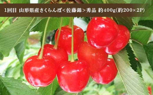 令和8年6月発送開始 山形県 厳選のフルーツ！ 山形県旬のフルーツ定期便Ｂ全3回 佐藤錦 白桃 ラフランス 期間限定 数量限定 山形県産 サクランボ 桃 梨 フルーツ 果物 くだもの 贈答 F4A-0969