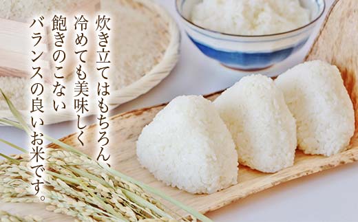 【令和7年度産】 山形県産　はえぬき無洗米 5kg ≪2025年10月より順次発送≫ ブランド米 こめ ご飯 ごはん 白米 エコ 節水 F4A-0981