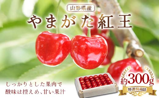 《先行予約》2026年 山形県産 やまがた紅王 特選桐箱詰 約300g やまのべ多田耕太郎のさくらんぼ F4A-0999