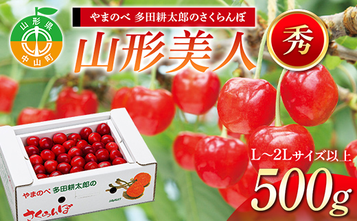《2026年先行予約》【山形美人】 バラ詰 500g【やまのべ多田耕太郎のさくらんぼ 多田農園】期間限定 数量限定 山形県産 サクランボ フルーツ 果物 くだもの F4A-1003
