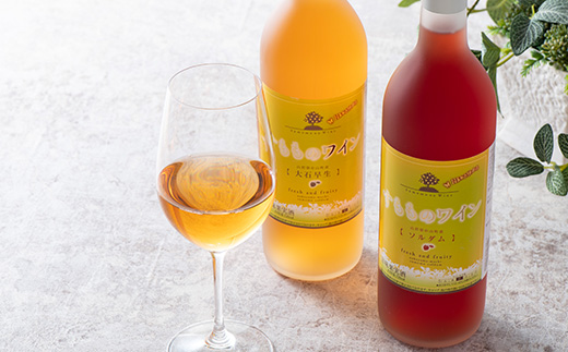 フルーティーさがたまらない！「すももワインセット」 アルコール お酒 果実酒 F4A-0056