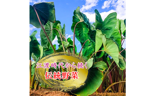 《芋煮会発祥の地中山町産里いも》山形県伝統野菜 子姫芋3kg 名物 芋煮 里芋 さといも ご当地 F4A-0250
