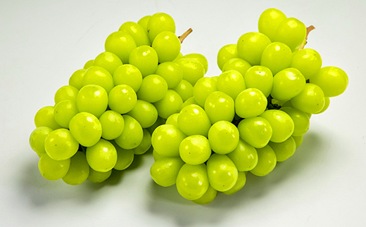 《先行予約》シャインマスカット 2～3房入り（やまのべ多田農園のぶどう） F4A-0338