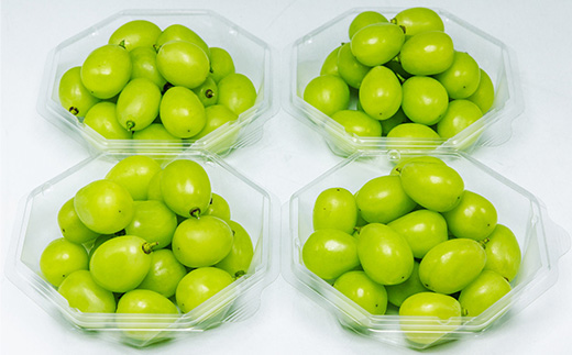 シャインマスカット ダイヤパック 250g×4パック やまのべ多田農園のぶどう F4A-0347