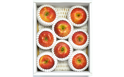 《2026年先行予約》山形県産 高徳 りんご 約2kg（6～12玉）2026年10月下旬頃から順次発送 くだもの 果物 フルーツ 秋果実 リンゴ 林檎 小玉 蜜 ギフト 化粧箱 産地直送 F4A-0348