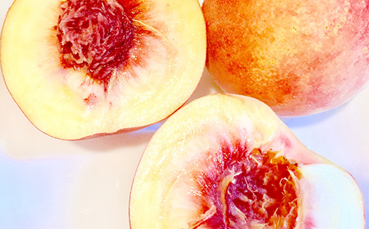 【2026年先行予約】山形県中山町産 白桃 秀品 5kg 品種おまかせ 軟らかくなる桃 12～20玉 もも モモ フルーツ 果物 くだもの 山形県産 F4A-0379