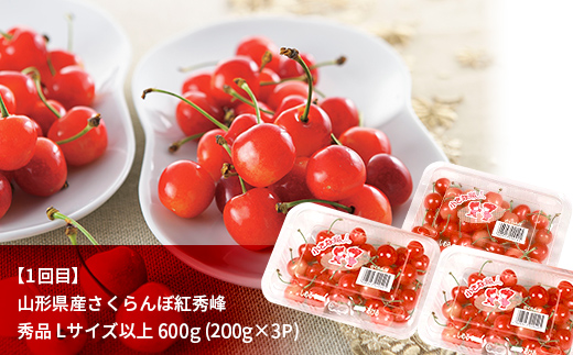 先行予約2025年度発送【定期便3回】山形県産紅秀峰・白桃・ラフランス F4A-0387