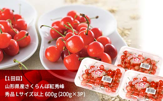 先行予約 2025年度発送【定期便3回】山形県産紅秀峰・白桃・シャインマスカット F4A-0388