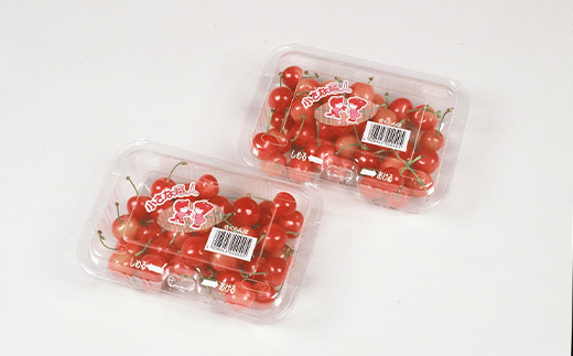 《先行予約》2025年度発送【山形県産フルーツ定期便5回】さくらんぼ・デラウェア・秋姫・ラ・フランス・りんご F4A-0402