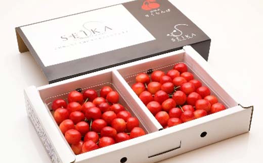 《2026年先行予約》 山形県産 さくらんぼ 紅秀峰 約350g×2パック（L～2Lサイズ）特秀 果物 フルーツ 山形県 中山町 F4A-0417