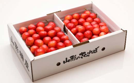 《2026年先行予約》 山形県産 さくらんぼ 紅秀峰 約500g×2パック（L～2Lサイズ）特秀 果物 フルーツ 山形県 中山町 F4A-0418
