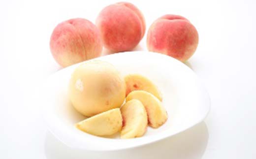 《2026年先行予約》山形県産 大人気！ 夏の収穫 白桃 約5kg（11～20玉） 桃 もも フルーツ くだもの 山形県 中山町 F4A-0425