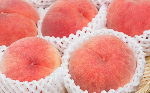 《2026年先行予約》山形県産 リピータ続出！秋の収穫 白桃 約5kg（11～20玉） 桃 もも フルーツ 果物 くだもの 山形県 中山町 F4A-0428