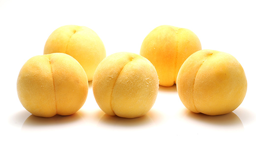 《2026年先行予約》山形県産 一度は食べてみたい！黄桃 約2kg（4～10玉）（有袋・無袋） 桃 もも フルーツ 果物 くだもの 山形県 中山町 F4A-0431