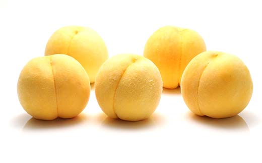 《2026年先行予約》山形県産 一度は食べてみたい！黄桃 約3kg（7～12玉）（有袋・無袋） 桃 もも フルーツ 果物 くだもの 山形県 中山町 F4A-0432
