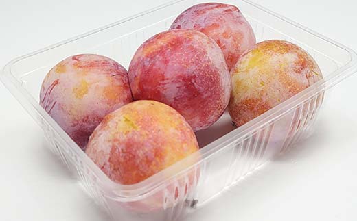 《2026年先行予約》山形県産 栄養満点★すもも「秋姫」 約2kg（500g×4パック） L～3Lサイズ フルーツ 果物 くだもの 山形県 中山町 F4A-0433